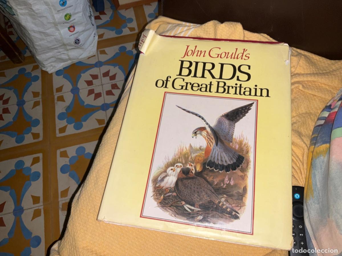 Second hand books: Birds of Great Britain Gould, John Gould&rsquo;s iilustraciones vida gran tama&ntilde;o aprox 400 dibujos