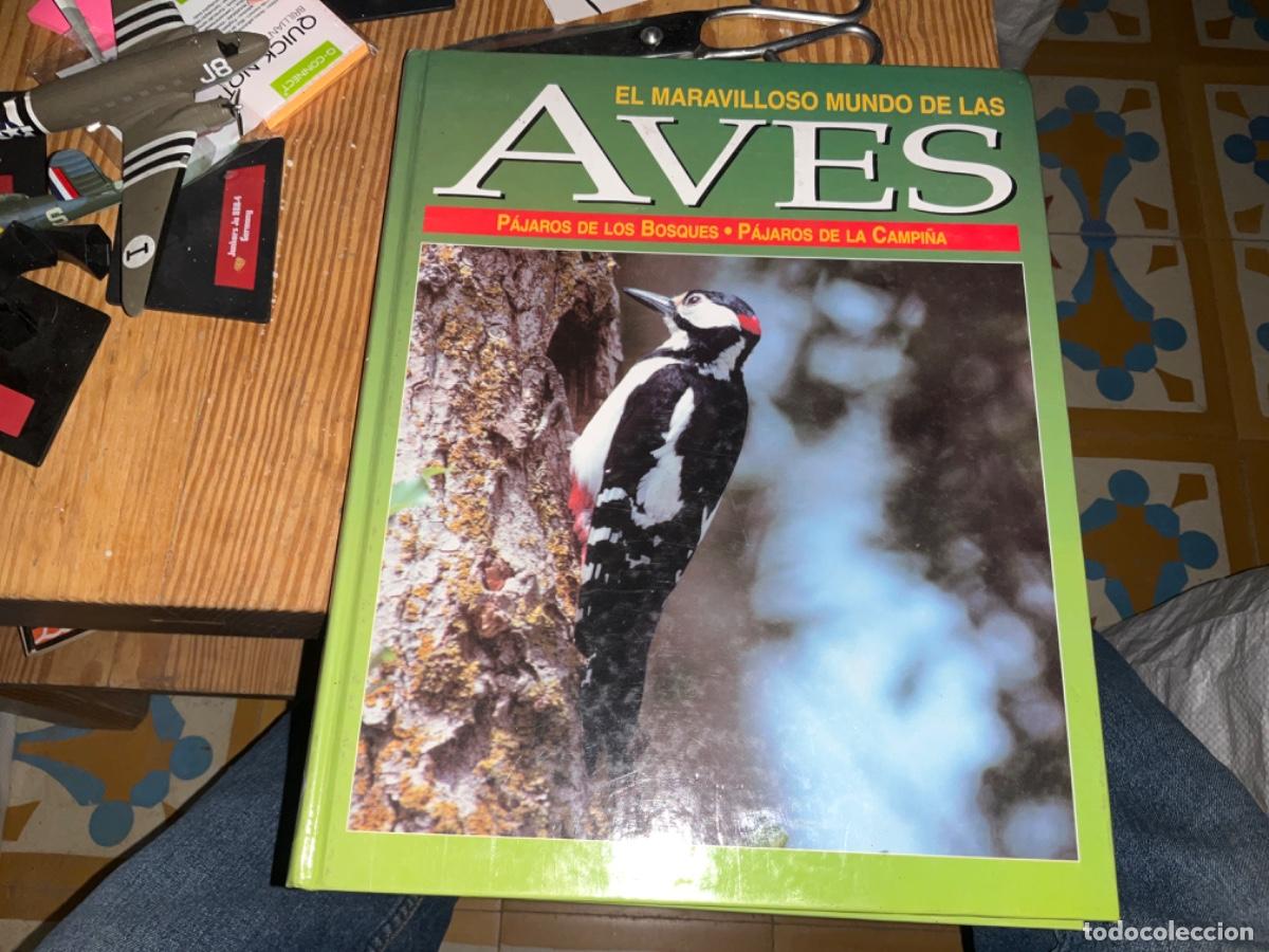 Libri di seconda mano: P&Aacute;JAROS DE LOS BOSQUES / P&Aacute;JAROS DE LA CAMPI&Ntilde;A (EL MARAVILLOSO MUNDO DE LAS AVES)