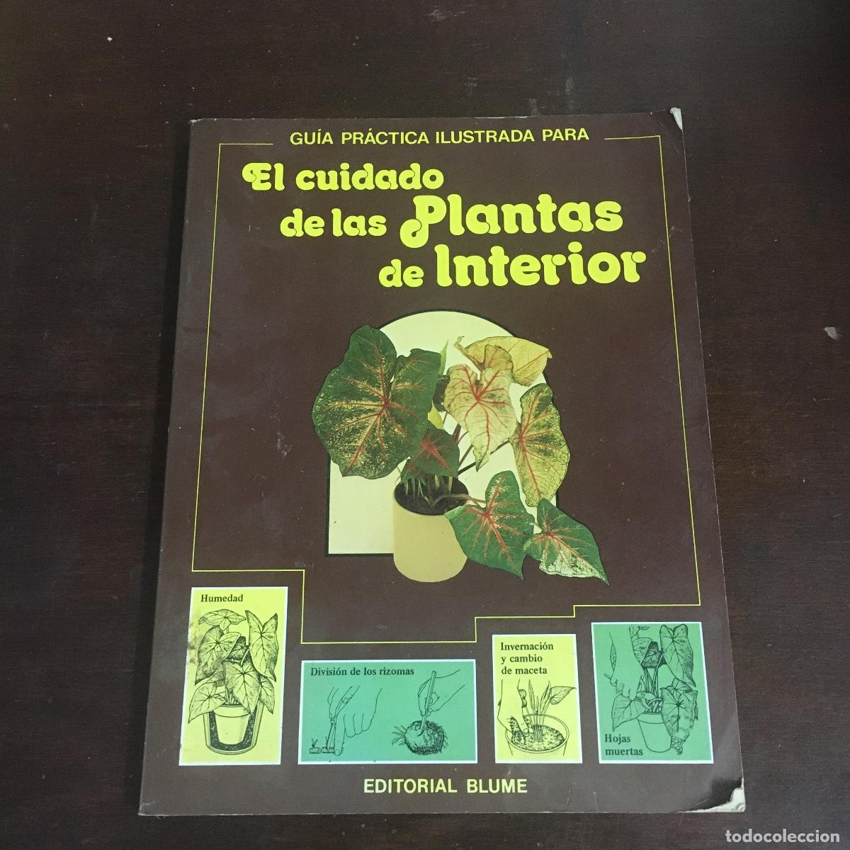 Libros de segunda mano: EL CUIDADO DE LAS PLANTAS DE INTERIOR REF: 67 - Foto 1