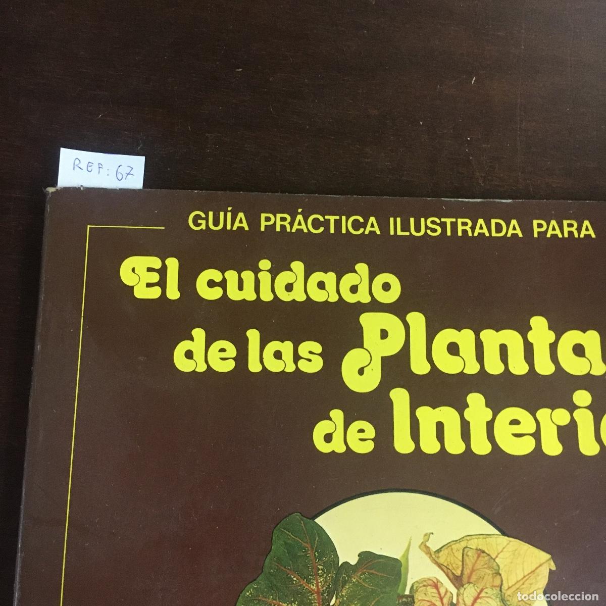 Libros de segunda mano: EL CUIDADO DE LAS PLANTAS DE INTERIOR REF: 67 - Foto 4