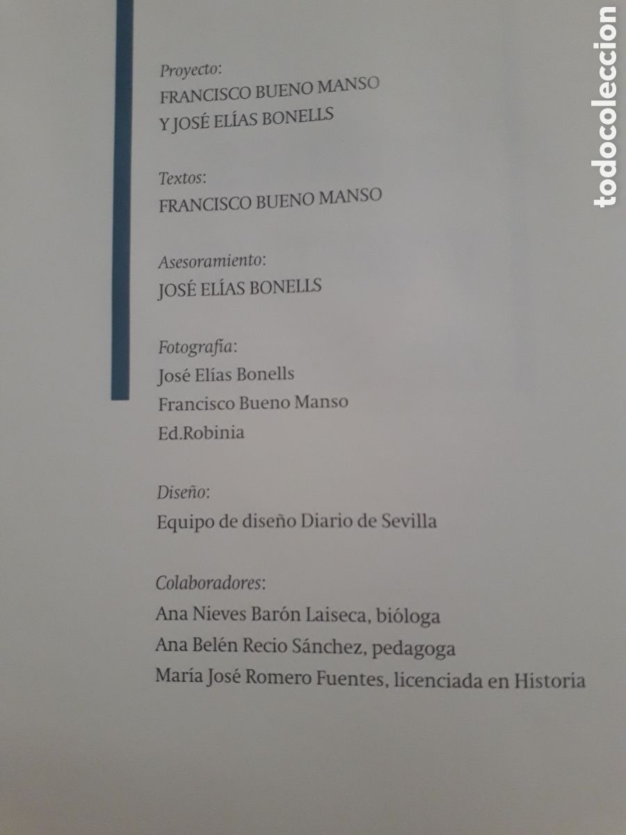 Libros de segunda mano: JARDINES Y PARQUES DE SEVILLA. DIARIO DE SEVILLA. 2000. - Foto 2