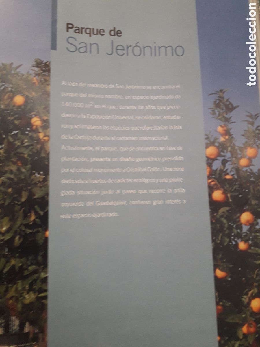 Libros de segunda mano: JARDINES Y PARQUES DE SEVILLA. DIARIO DE SEVILLA. 2000. - Foto 5