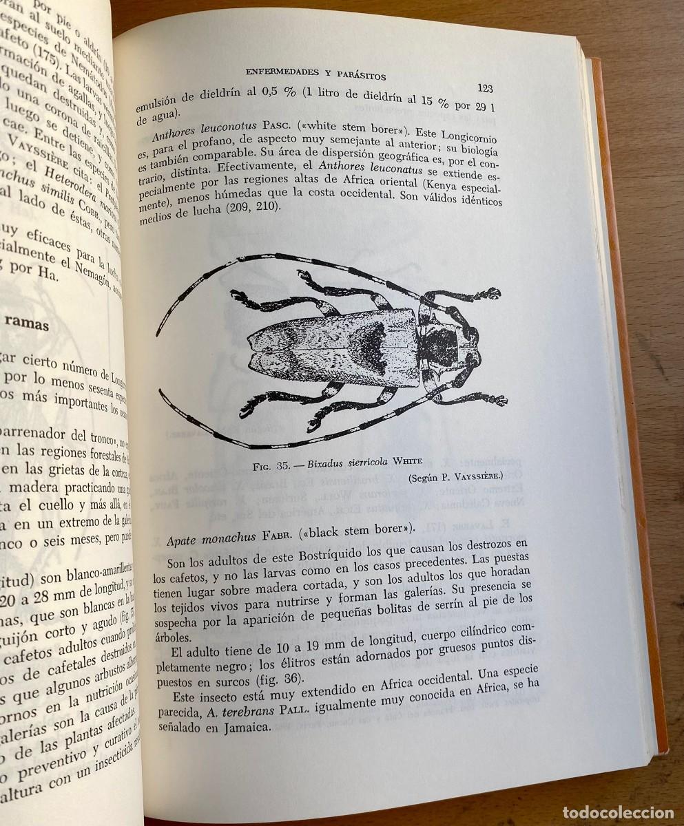 Libros de segunda mano: El caf&eacute;, de R. Coste - Foto 3