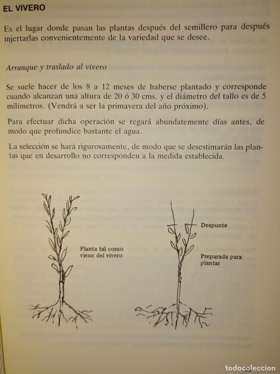 Libros de segunda mano: AGRIOS - Foto 3