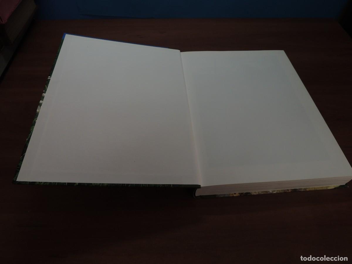 Libros de segunda mano: FLORS DE MONTSERRAT. - ALBERT AREAN I TRABAL - Foto 3