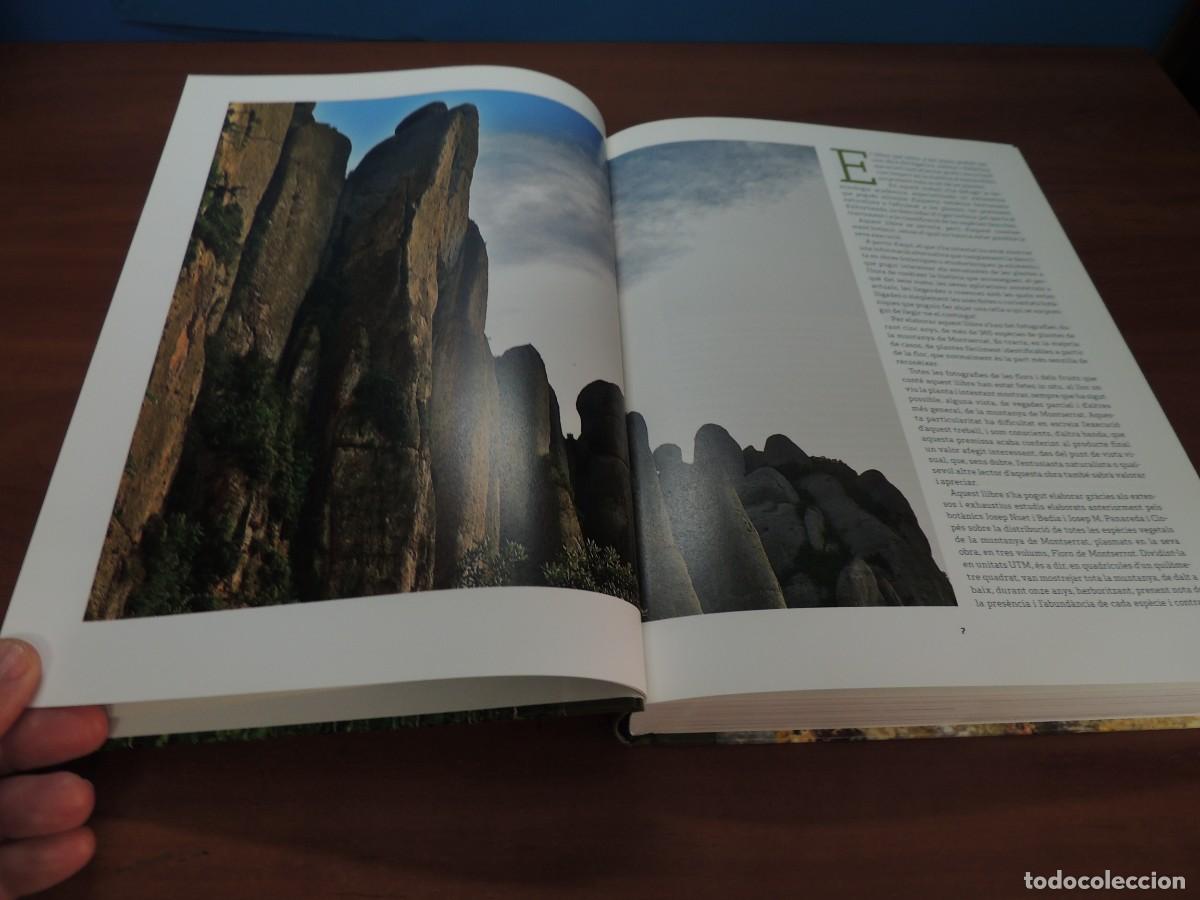 Libros de segunda mano: FLORS DE MONTSERRAT. - ALBERT AREAN I TRABAL - Foto 6