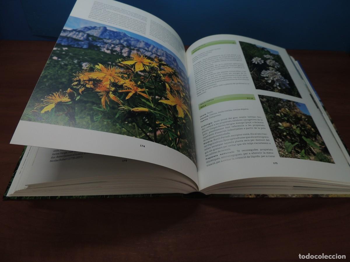 Libros de segunda mano: FLORS DE MONTSERRAT. - ALBERT AREAN I TRABAL - Foto 10