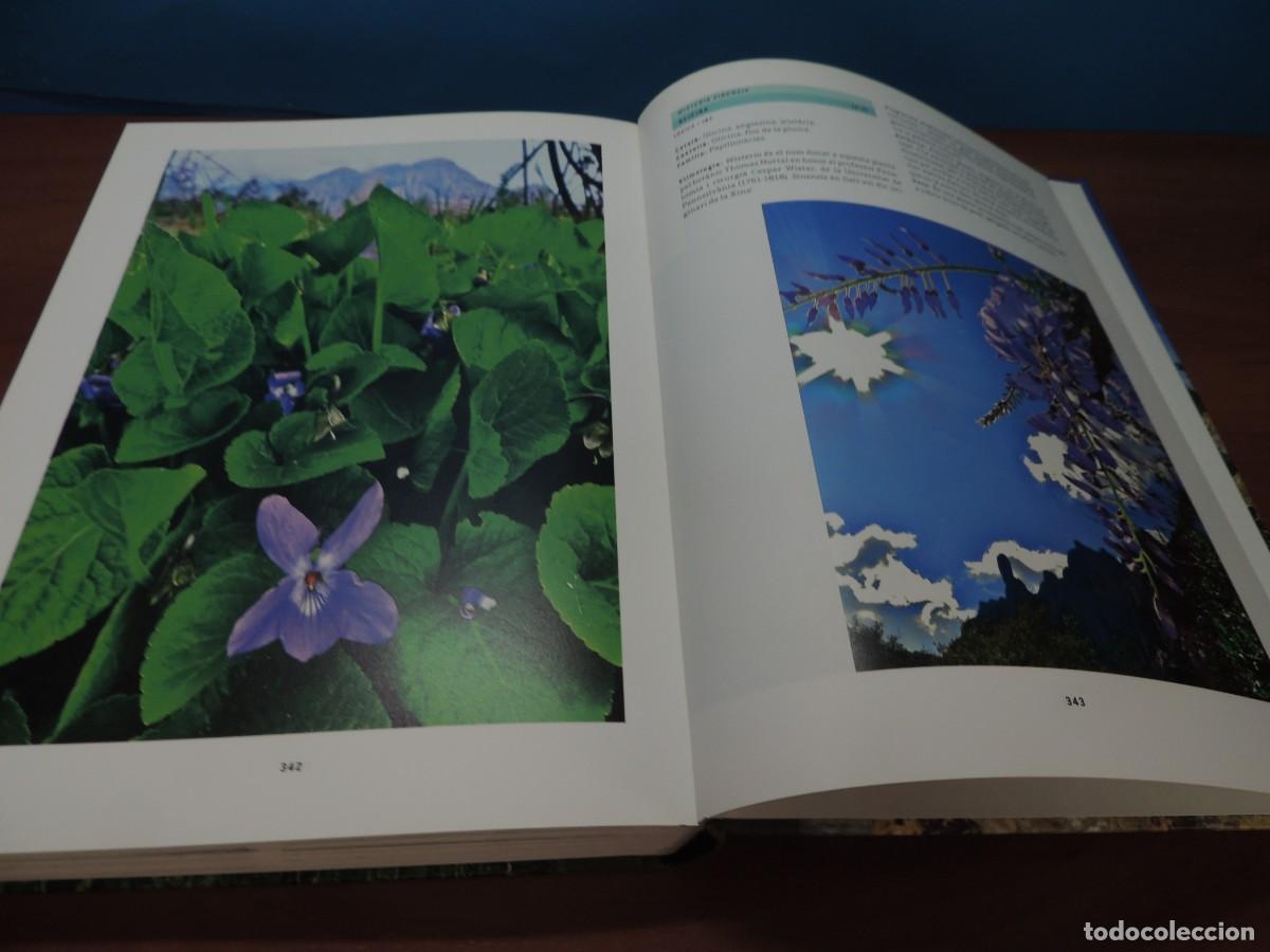Libros de segunda mano: FLORS DE MONTSERRAT. - ALBERT AREAN I TRABAL - Foto 12