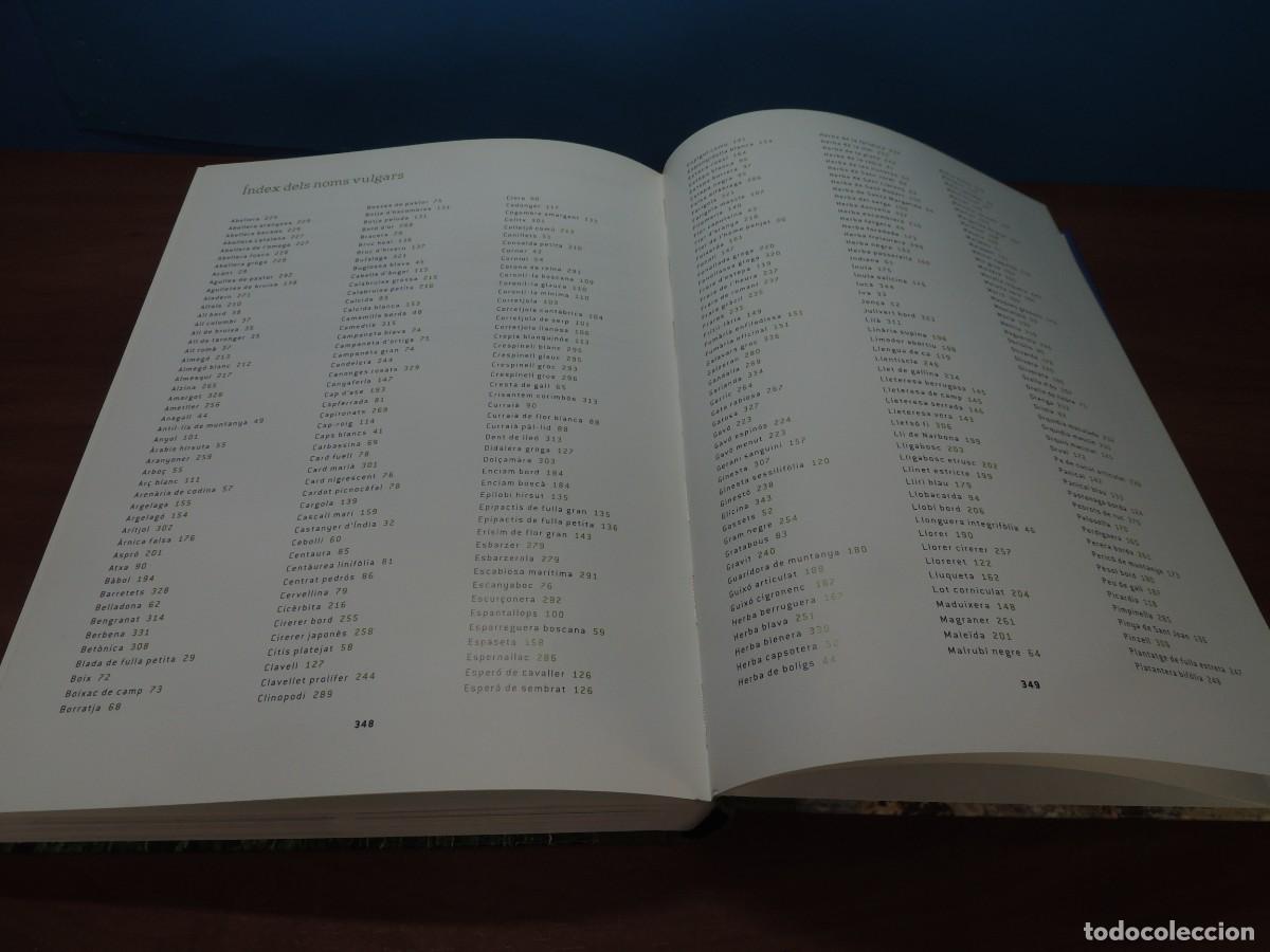 Libros de segunda mano: FLORS DE MONTSERRAT. - ALBERT AREAN I TRABAL - Foto 13