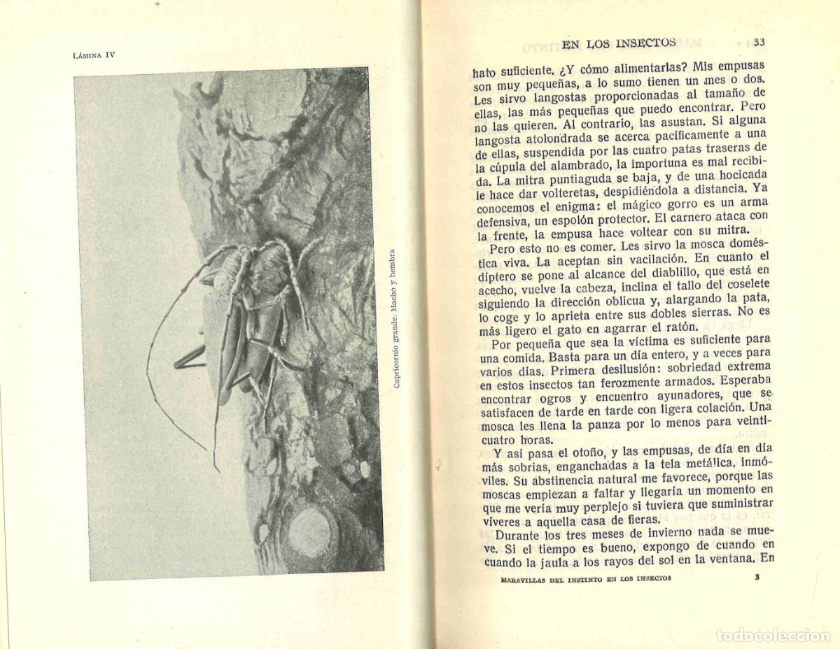 Libros de segunda mano: Maravillas del instinto en los insectos. J.H. Fabre. 1961 - Foto 2