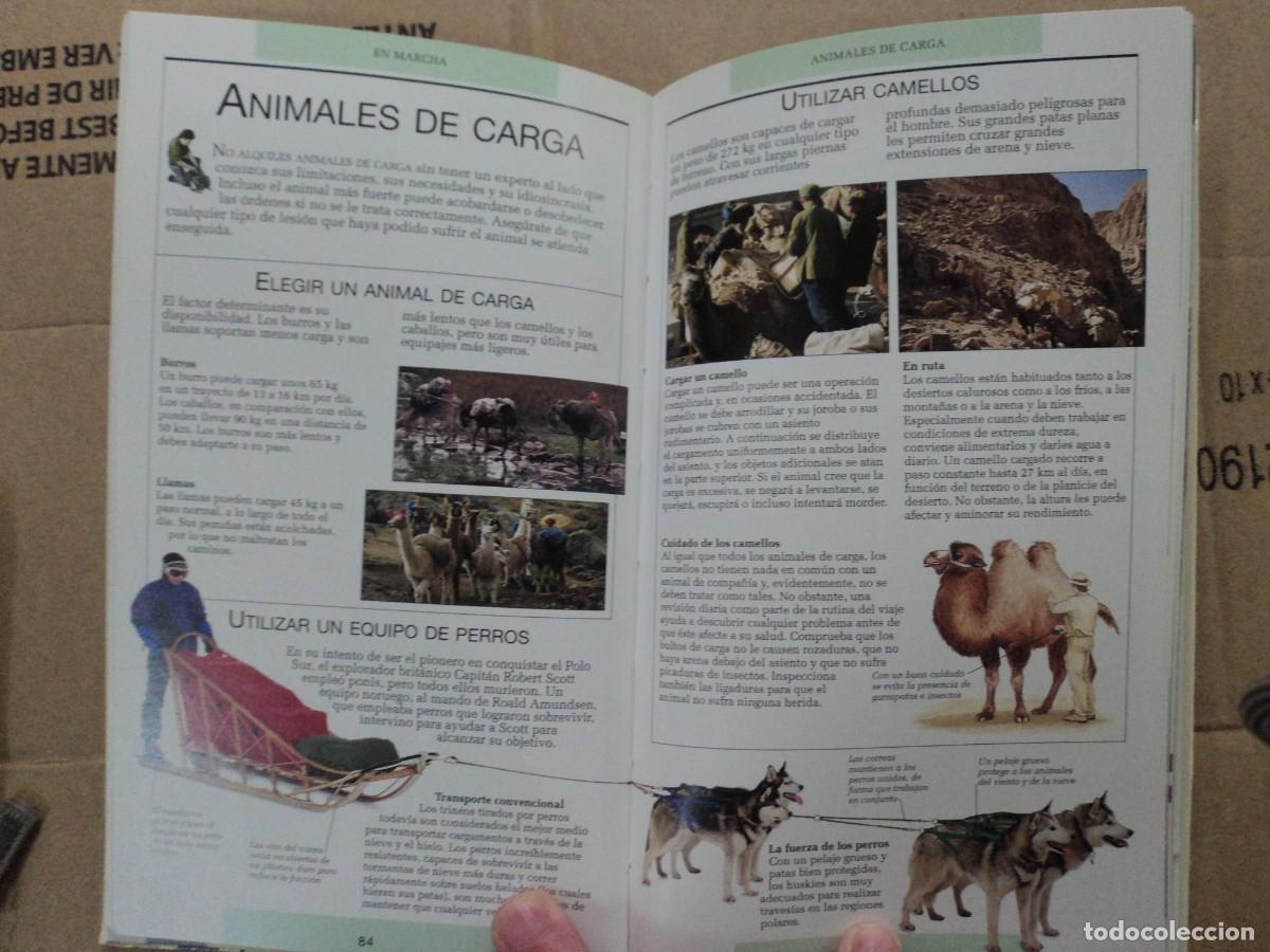 Libros de segunda mano: Manual del excursionista - Blume - Foto 3