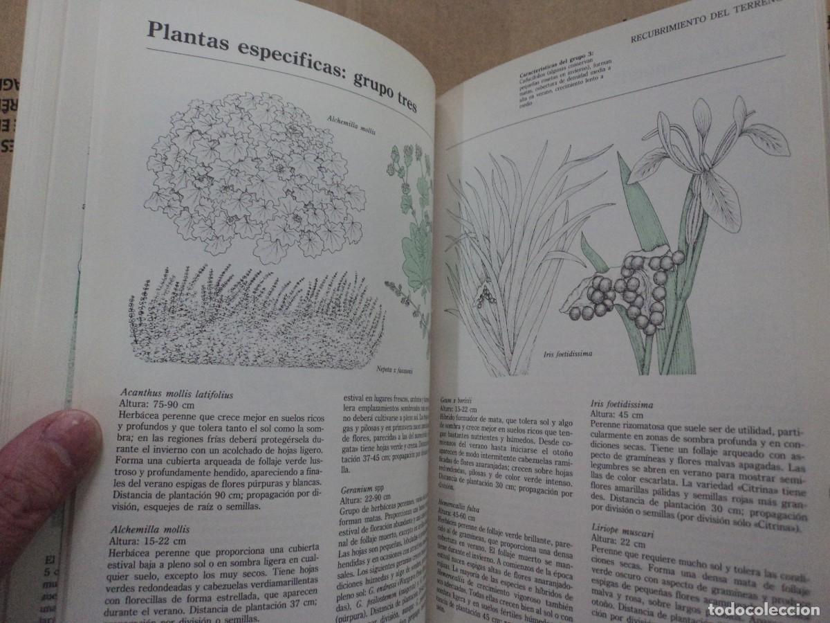 Libros de segunda mano: El Cuidado del C&eacute;sped y el jard&iacute;n - Foto 3