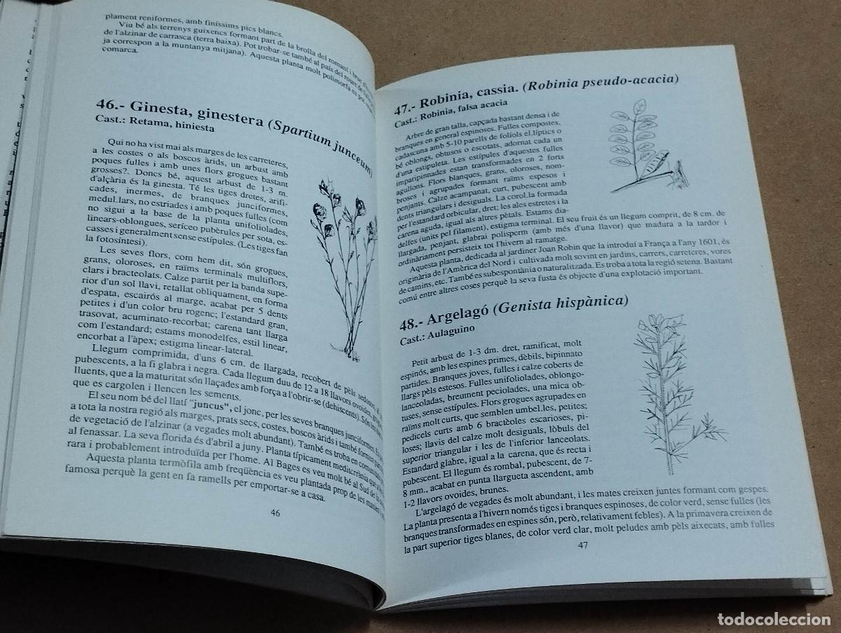 Libros de segunda mano: PLANTES DEL BAGES - APROXIMACI&Oacute; A LA FLORA DE LA COMARCA - RAMON FERRER BOLASSELL (DEDICAT) - Foto 3