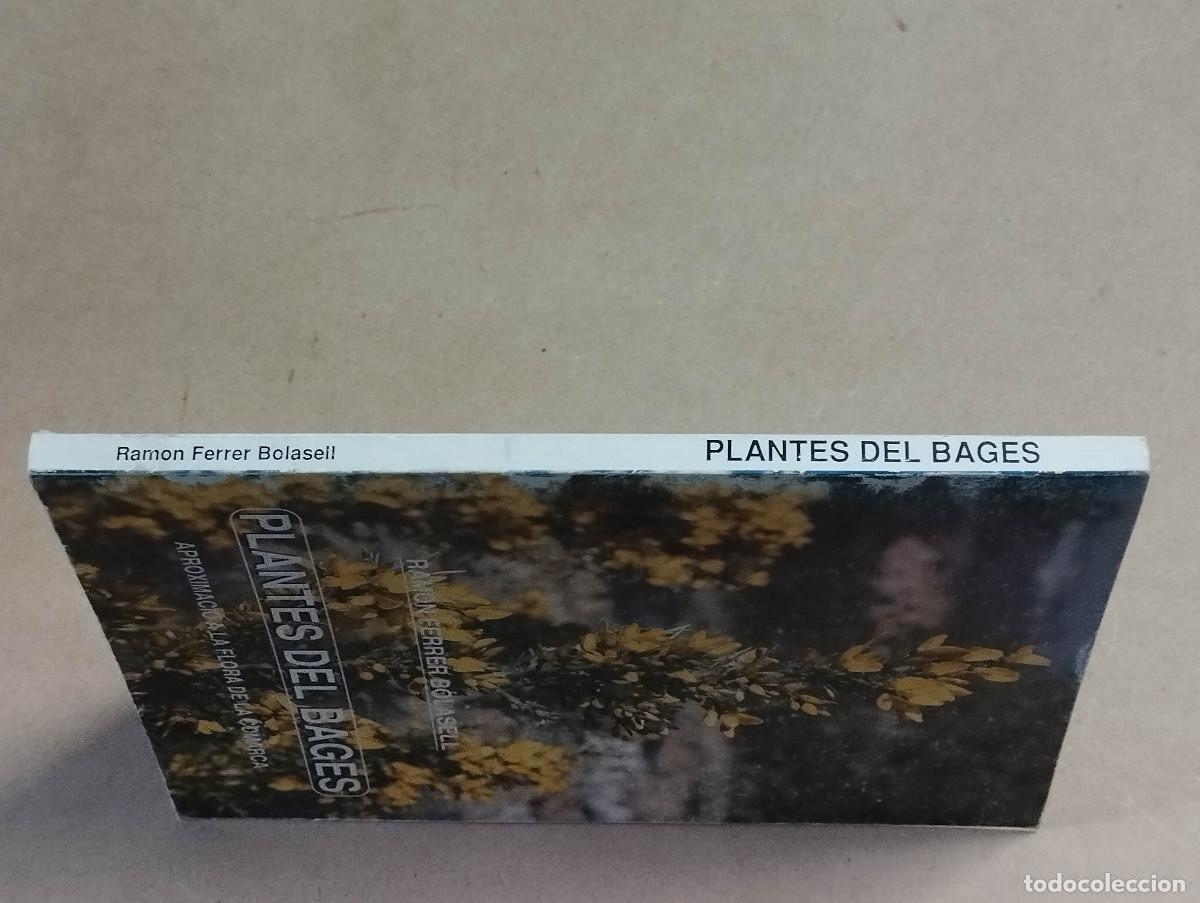 Libros de segunda mano: PLANTES DEL BAGES - APROXIMACI&Oacute; A LA FLORA DE LA COMARCA - RAMON FERRER BOLASSELL (DEDICAT) - Foto 4