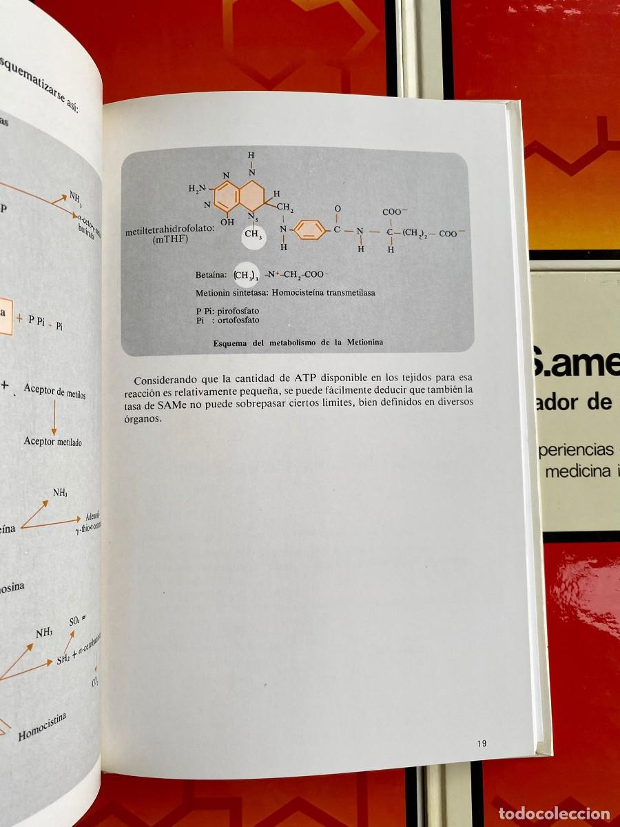 Libros de segunda mano de ciencias: S.AMeT, Transmetilaci&oacute;n (6 vols) - Foto 3