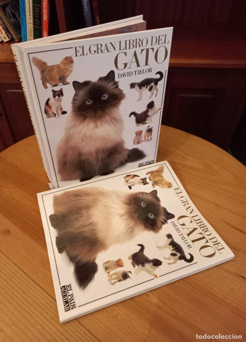 Libros de segunda mano: &rdquo;El gran libro del gato&rdquo; - Foto 1