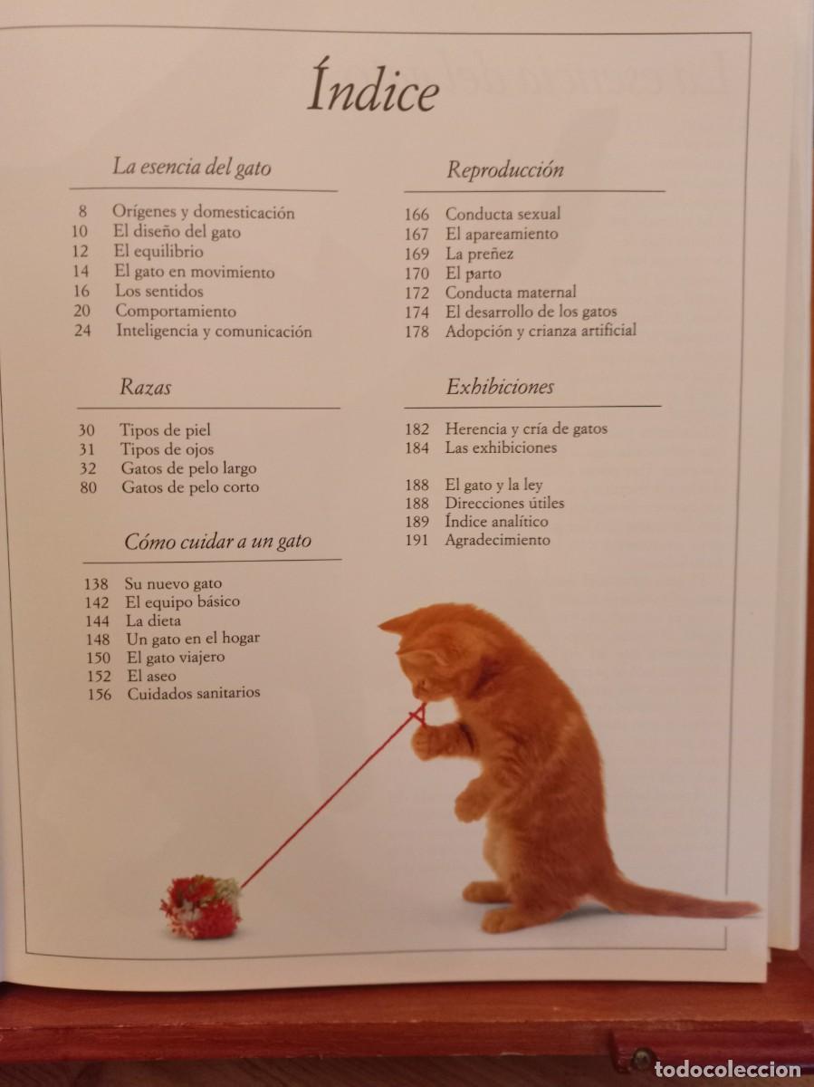 Libros de segunda mano: &rdquo;El gran libro del gato&rdquo; - Foto 2