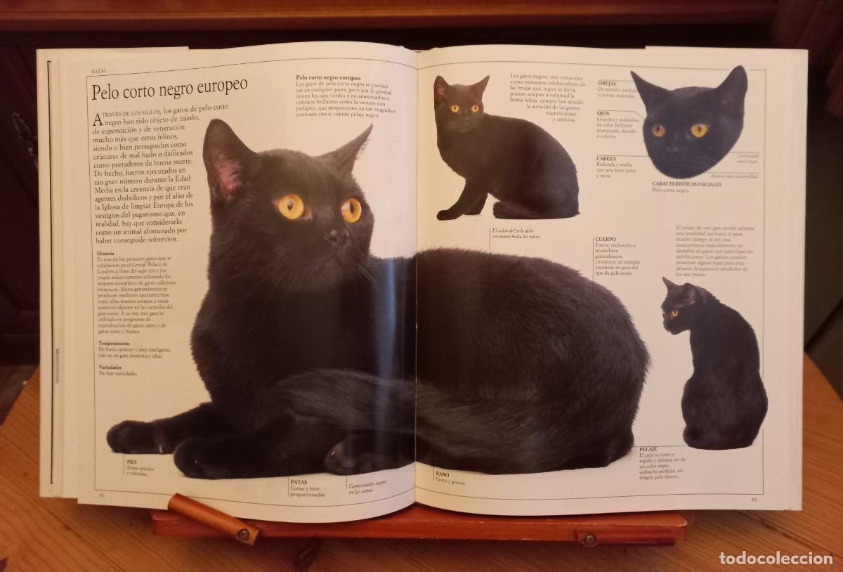 Libros de segunda mano: &rdquo;El gran libro del gato&rdquo; - Foto 3