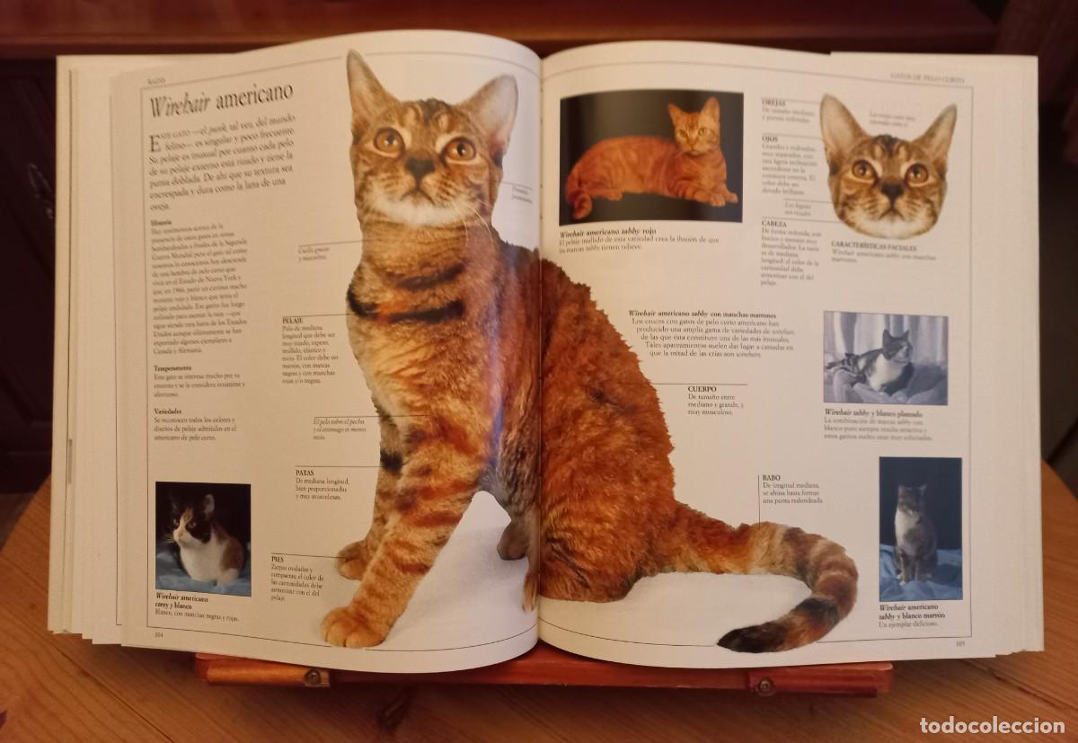 Libros de segunda mano: &rdquo;El gran libro del gato&rdquo; - Foto 4