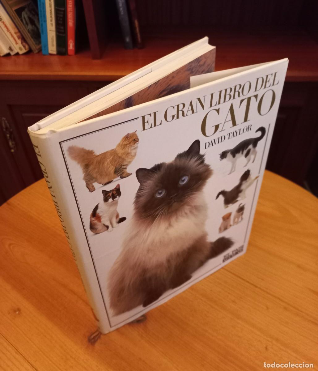 Libros de segunda mano: &rdquo;El gran libro del gato&rdquo; - Foto 5