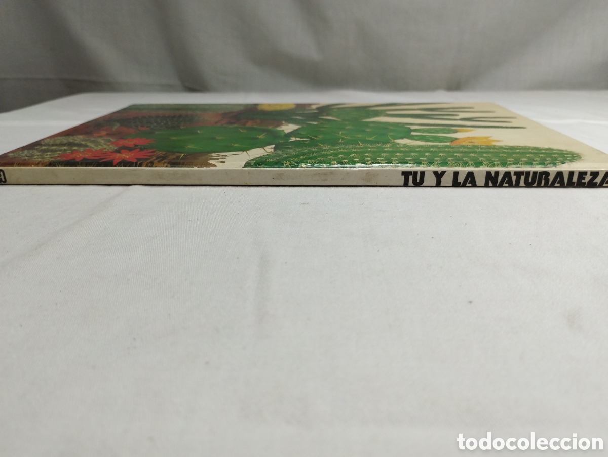 Libros de segunda mano: Tu y la naturaleza. David Sharp KKB - Foto 2