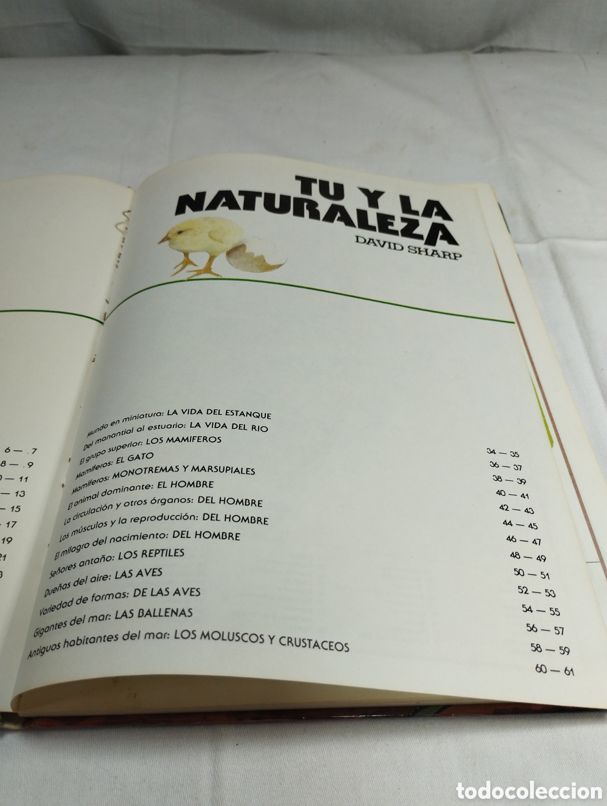 Libros de segunda mano: Tu y la naturaleza. David Sharp KKB - Foto 3