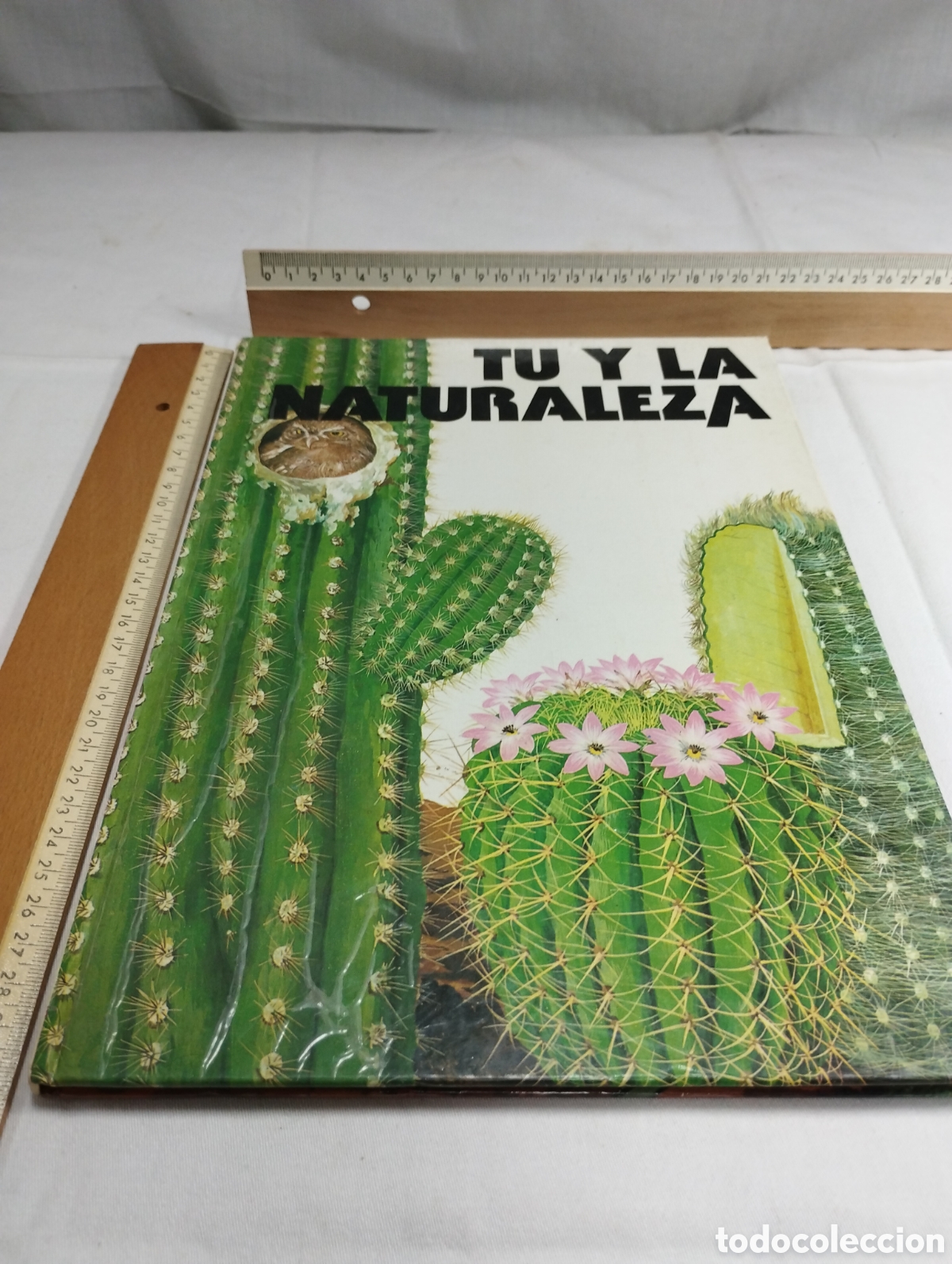Libros de segunda mano: Tu y la naturaleza. David Sharp KKB - Foto 1