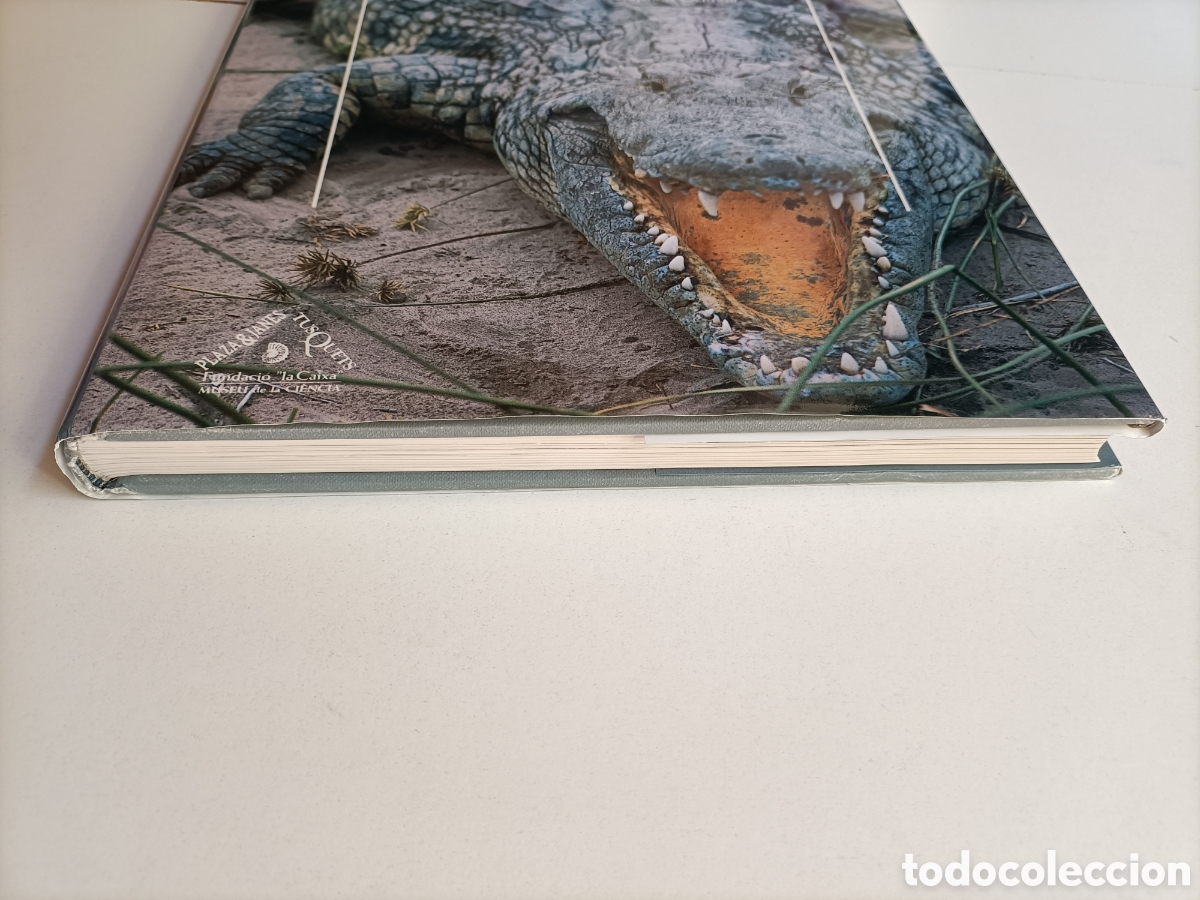 Libros de segunda mano: Cocodrilos y caimanes Materia Viva 9 - Foto 4
