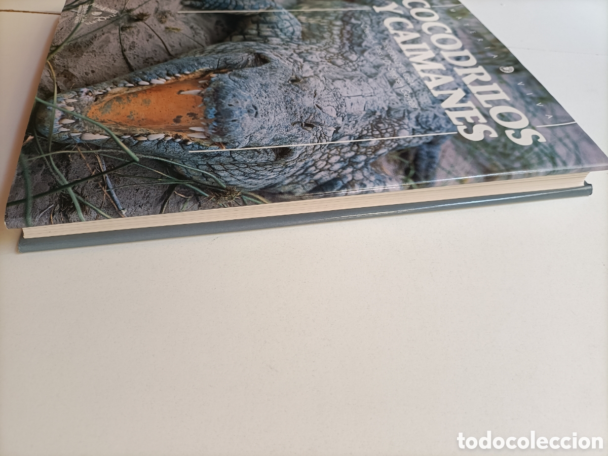 Libros de segunda mano: Cocodrilos y caimanes Materia Viva 9 - Foto 5