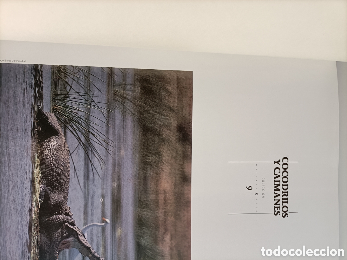 Libros de segunda mano: Cocodrilos y caimanes Materia Viva 9 - Foto 7