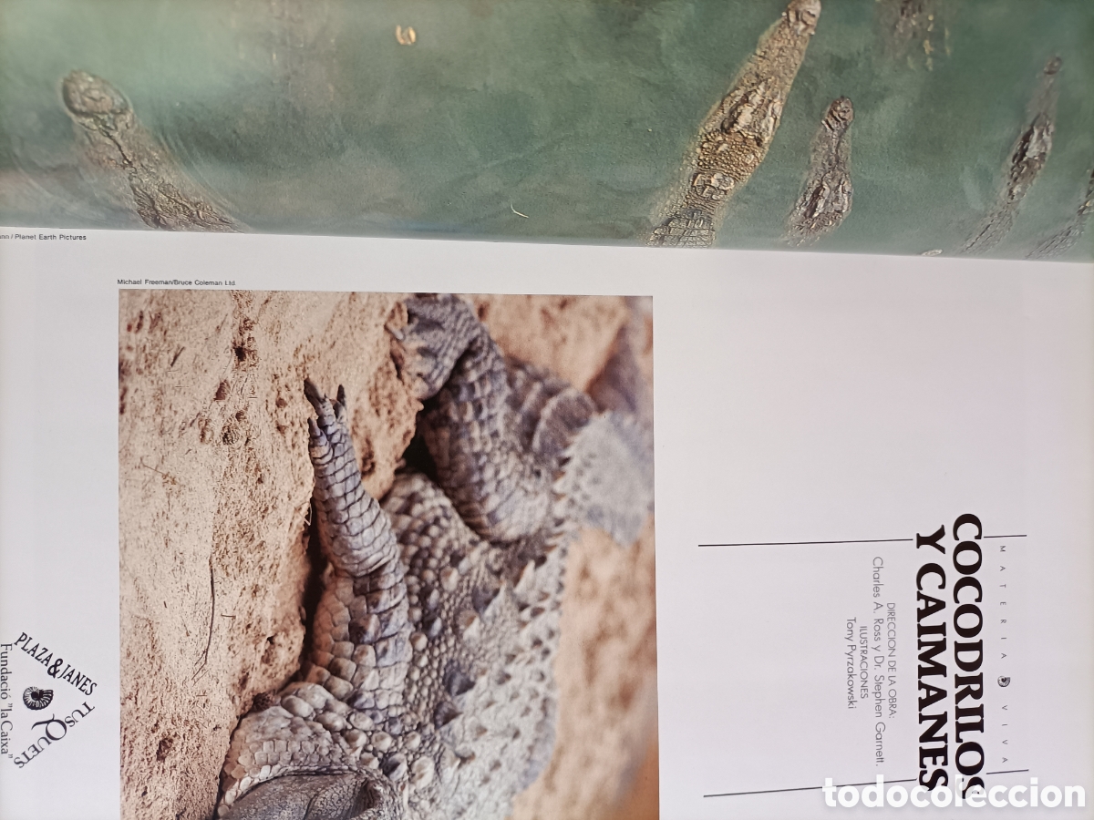 Libros de segunda mano: Cocodrilos y caimanes Materia Viva 9 - Foto 8