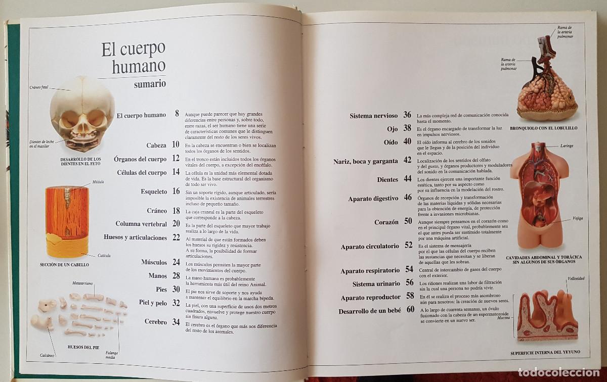 Libros de segunda mano: Enciclopedia visual de los seres vivos. El Pa&iacute;s/Altea - Foto 2