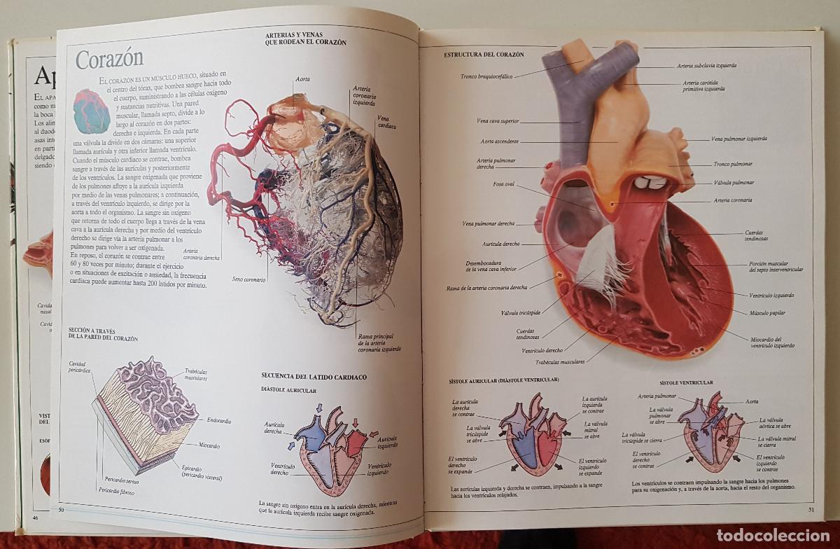 Libros de segunda mano: Enciclopedia visual de los seres vivos. El Pa&iacute;s/Altea - Foto 3