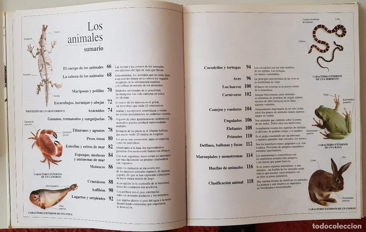 Libros de segunda mano: Enciclopedia visual de los seres vivos. El Pa&iacute;s/Altea - Foto 5