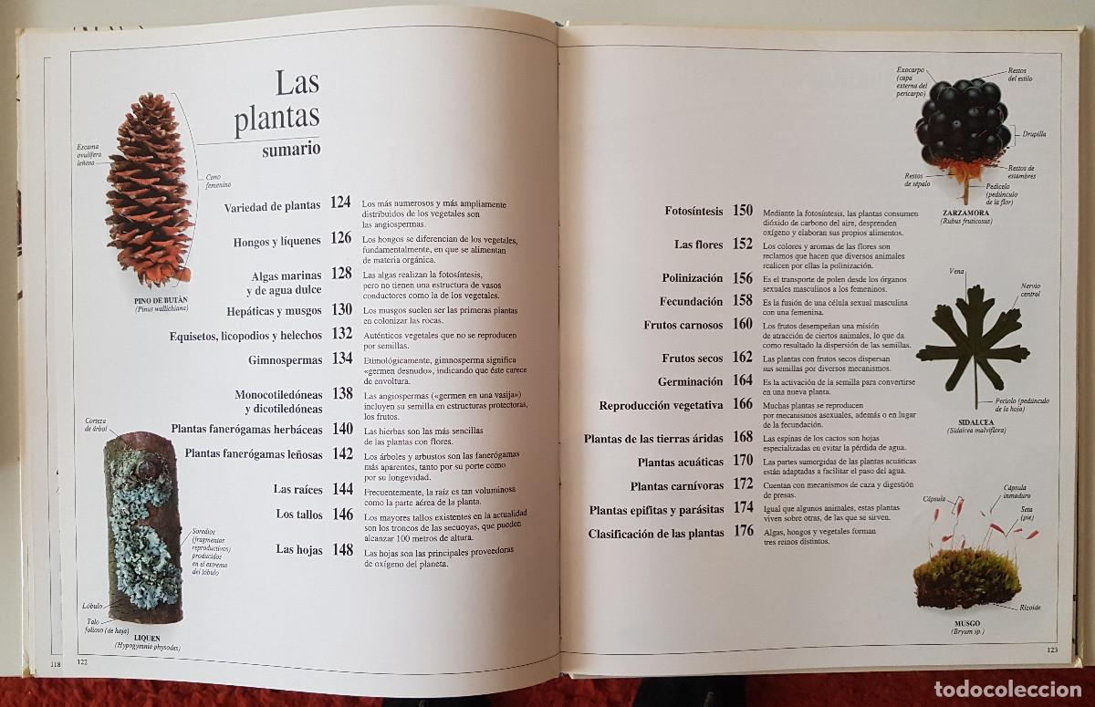Libros de segunda mano: Enciclopedia visual de los seres vivos. El Pa&iacute;s/Altea - Foto 6