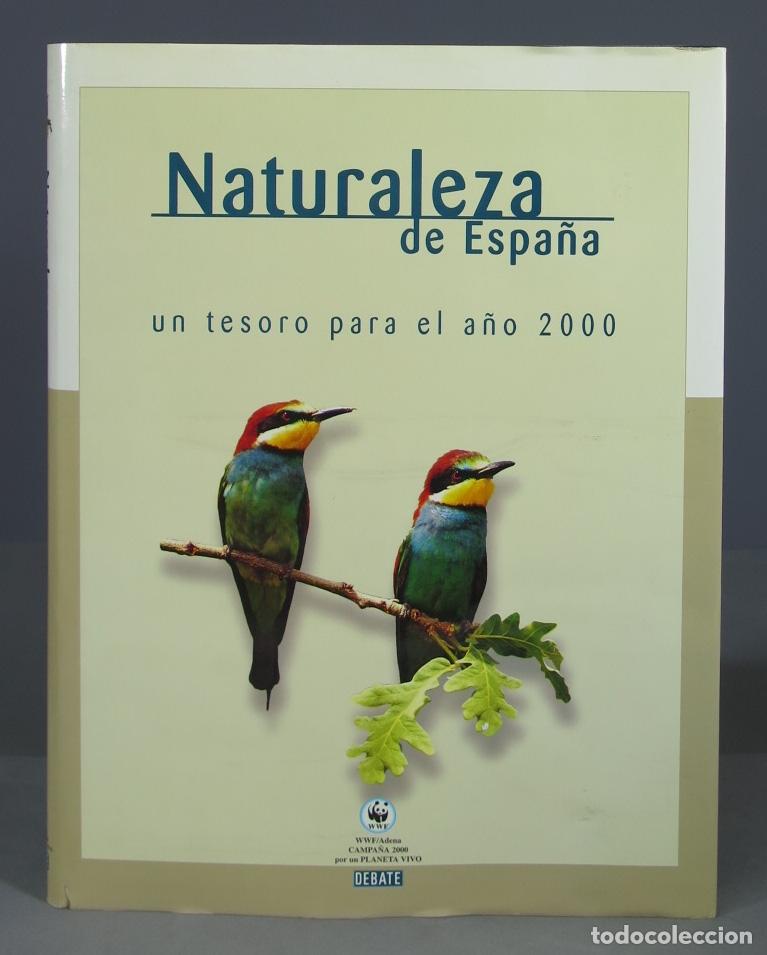 Libros de segunda mano: Naturaleza de Espa&ntilde;a. Isaac Vega - Foto 1