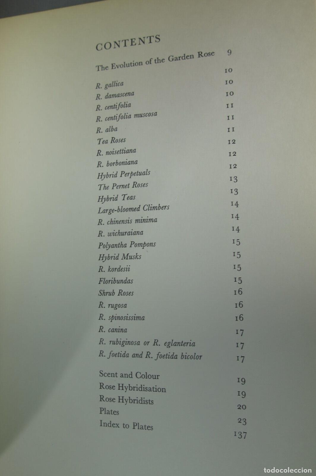 Libros de segunda mano: Beautiful Roses. P. Svoboda - Foto 2