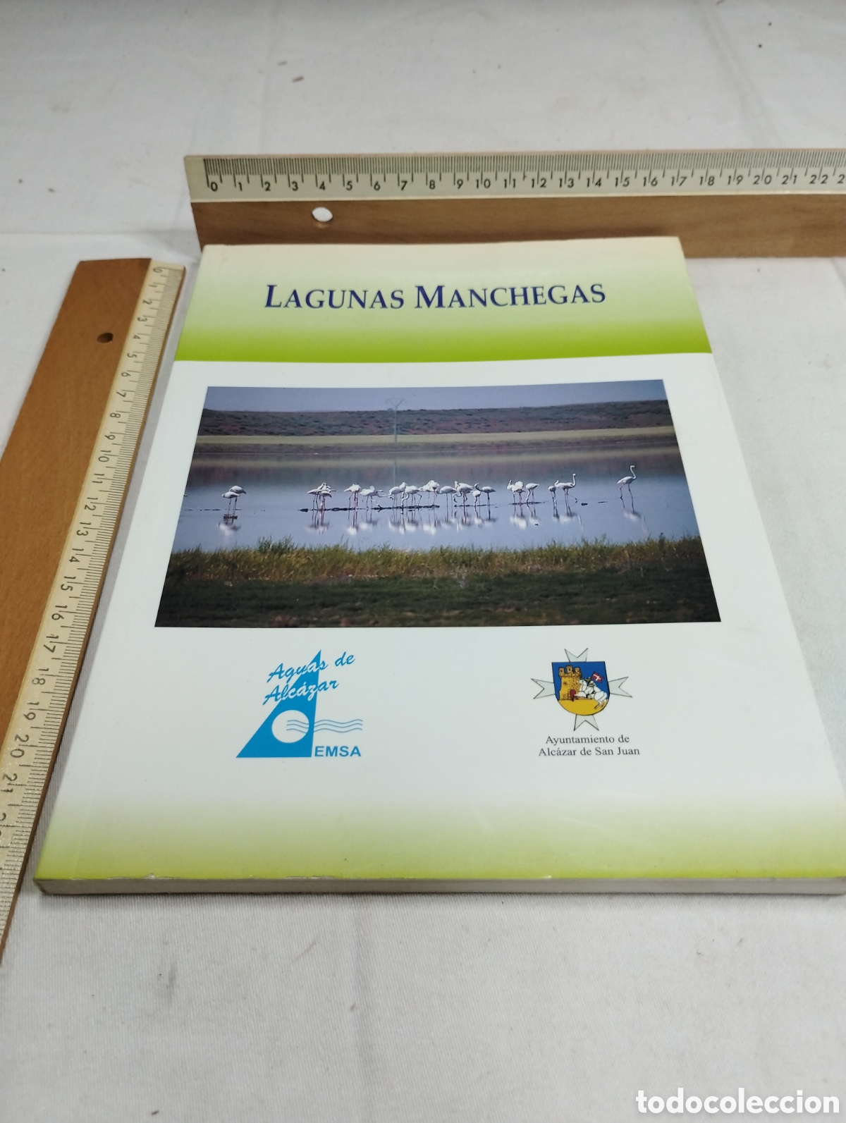 Libros de segunda mano: Lagunas manchegas. EMSA, 2001 KKB - Foto 1