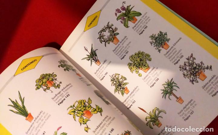 Libros de segunda mano: PLANTAS SANAS PROBLEMAS Y SOLUCIONES - Foto 4