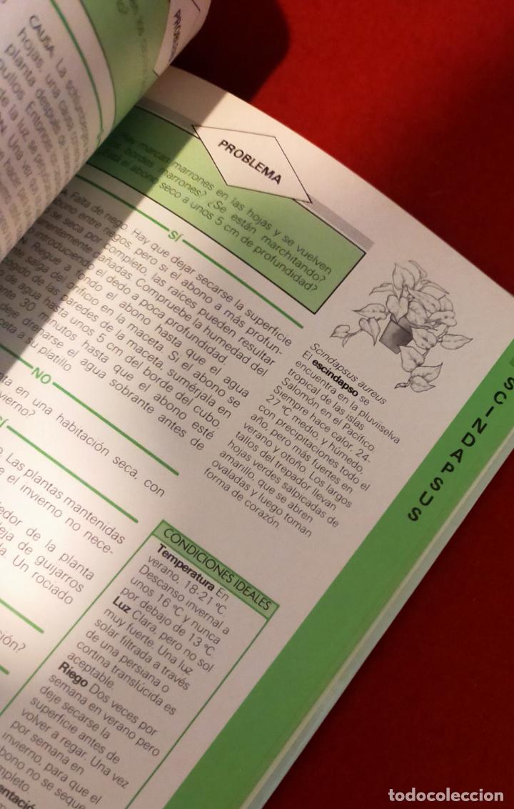 Libros de segunda mano: PLANTAS SANAS PROBLEMAS Y SOLUCIONES - Foto 5