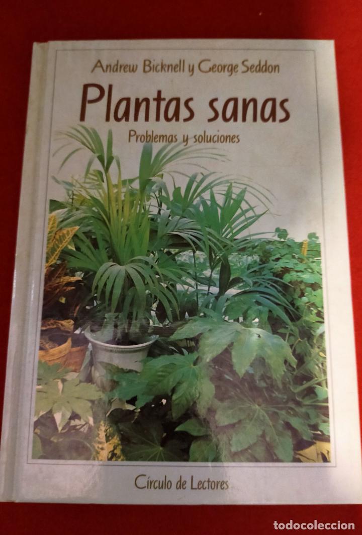 Libros de segunda mano: PLANTAS SANAS PROBLEMAS Y SOLUCIONES - Foto 1
