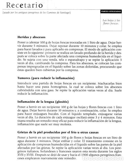 Libros de segunda mano: PLANTAS Y REMEDIOS NATURALES. - Foto 4