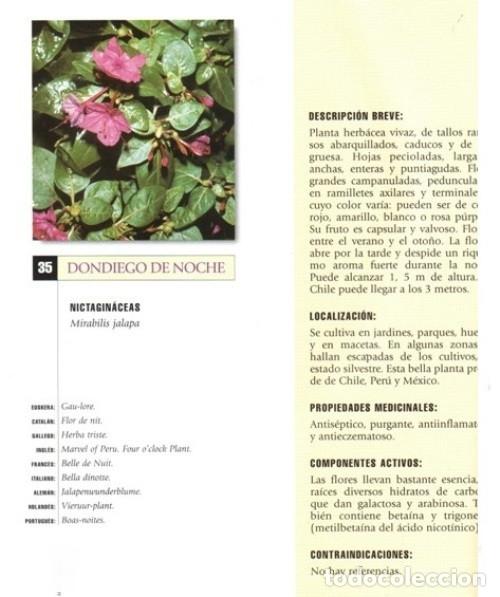 Libros de segunda mano: PLANTAS Y REMEDIOS NATURALES. - Foto 5