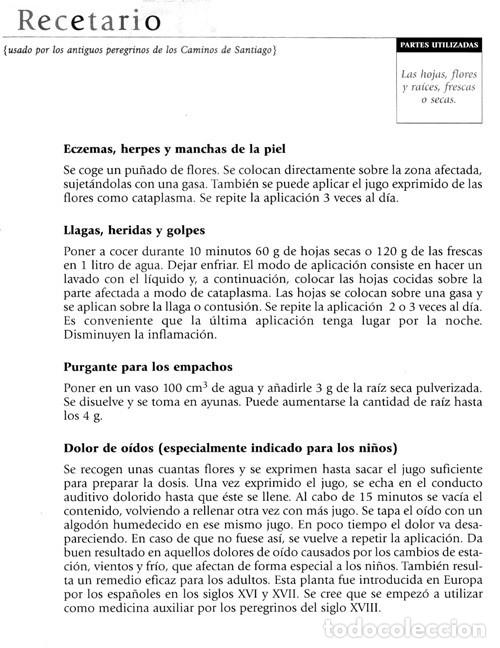 Libros de segunda mano: PLANTAS Y REMEDIOS NATURALES. - Foto 6