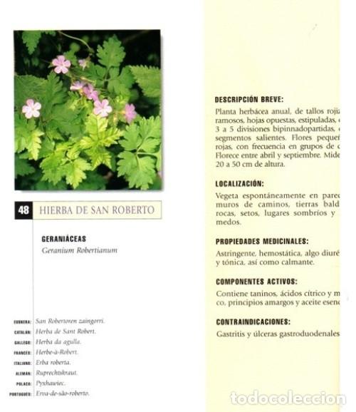 Libros de segunda mano: PLANTAS Y REMEDIOS NATURALES. - Foto 7