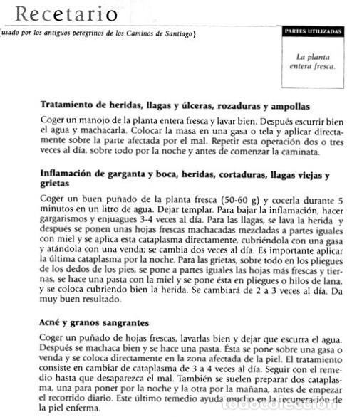 Libros de segunda mano: PLANTAS Y REMEDIOS NATURALES. - Foto 8