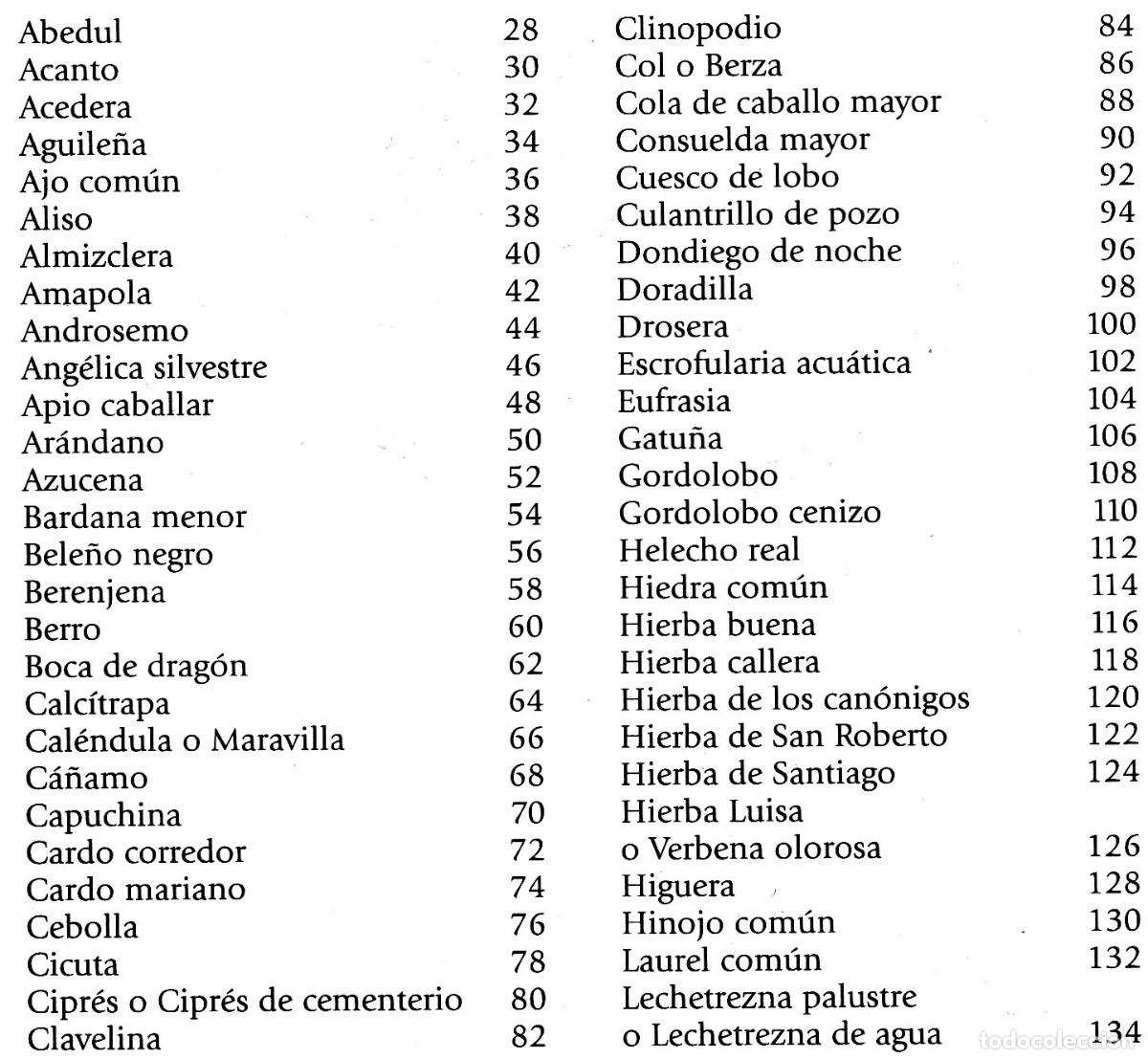 Libros de segunda mano: PLANTAS Y REMEDIOS NATURALES. - Foto 9