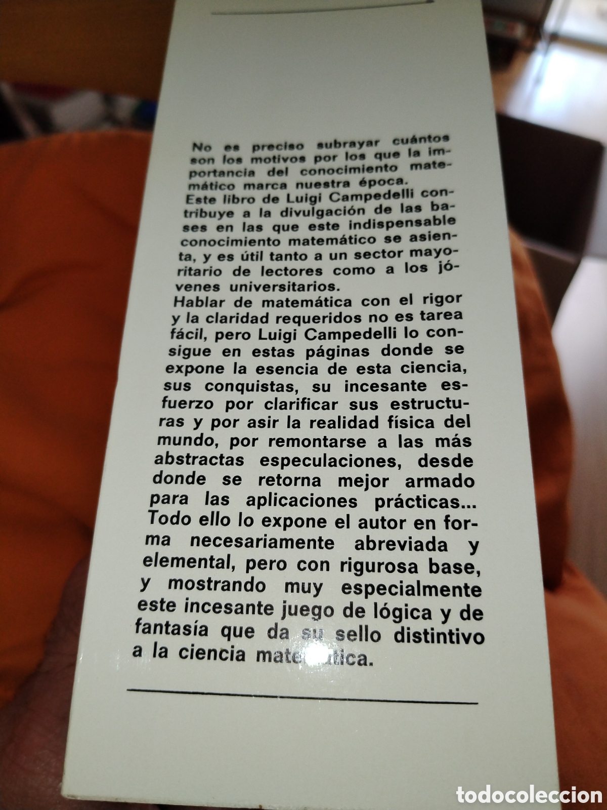 Libros de segunda mano de ciencias: Fantas&iacute;a y l&oacute;gica en la matem&aacute;tica. Luigi Campedelli - Foto 2