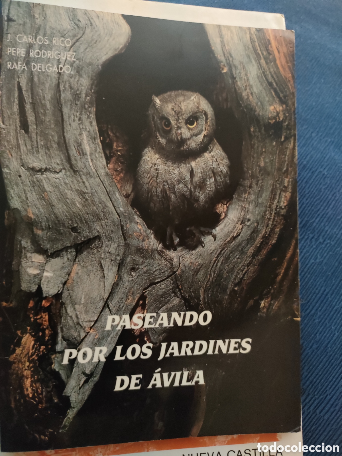 Libri di seconda mano: Paseando por los jardines de &Aacute;vila J Carlos Rico Pepe Rodr&iacute;guez