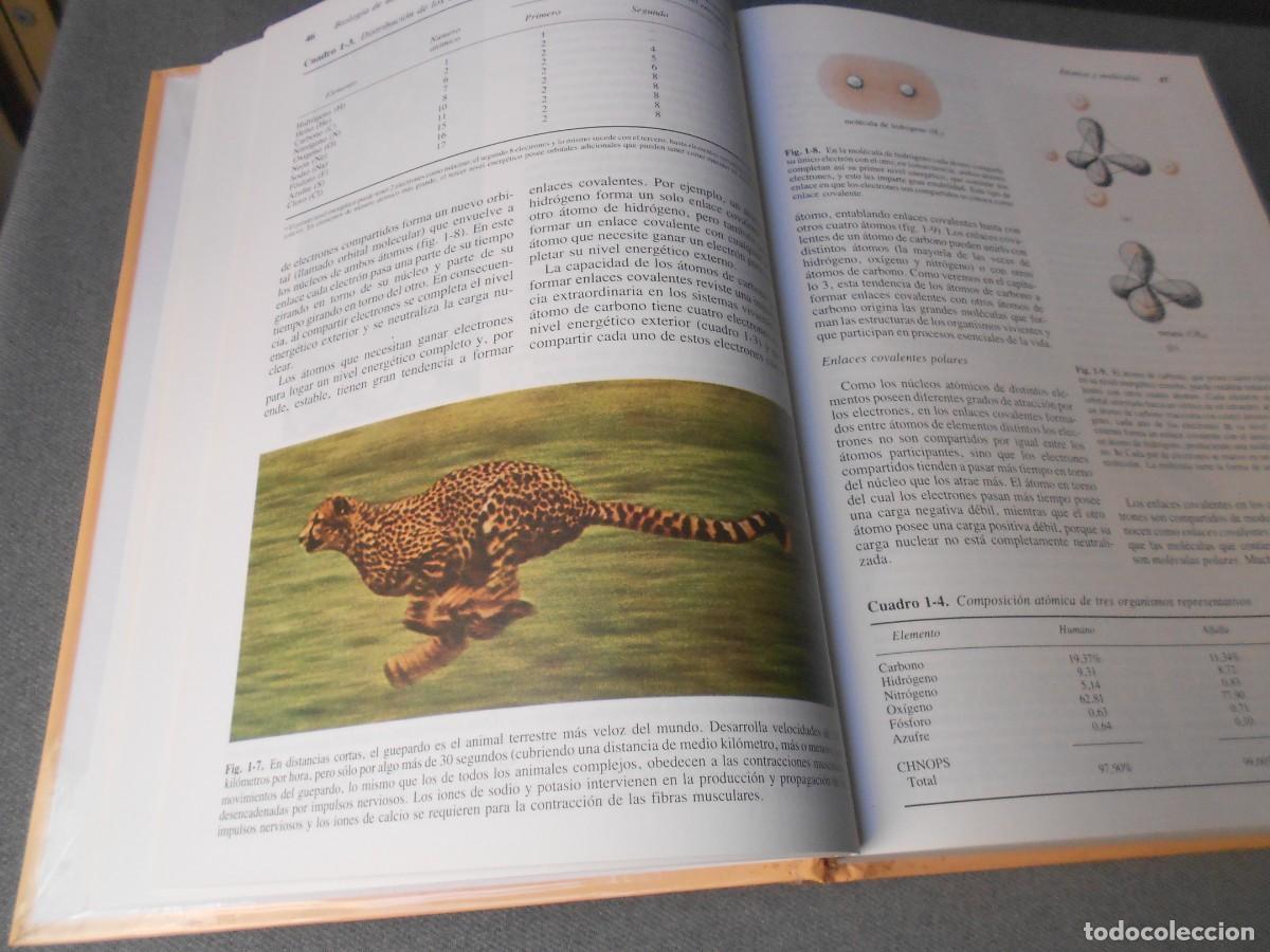 Libros de segunda mano: INVITACION A LA BIOLOGIA. - Foto 3